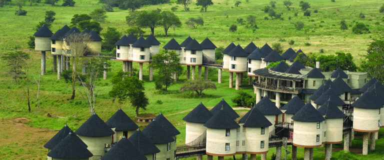 2 Days Tsavo East And Saltlick