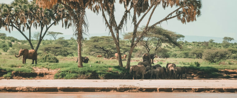 6 Days, Samburu, Nakuru, Mara