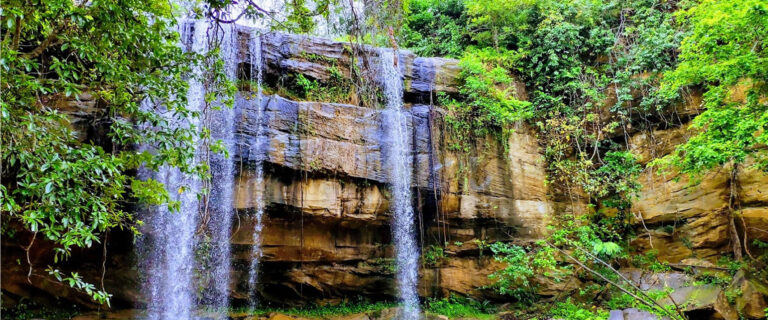 shimba hills2